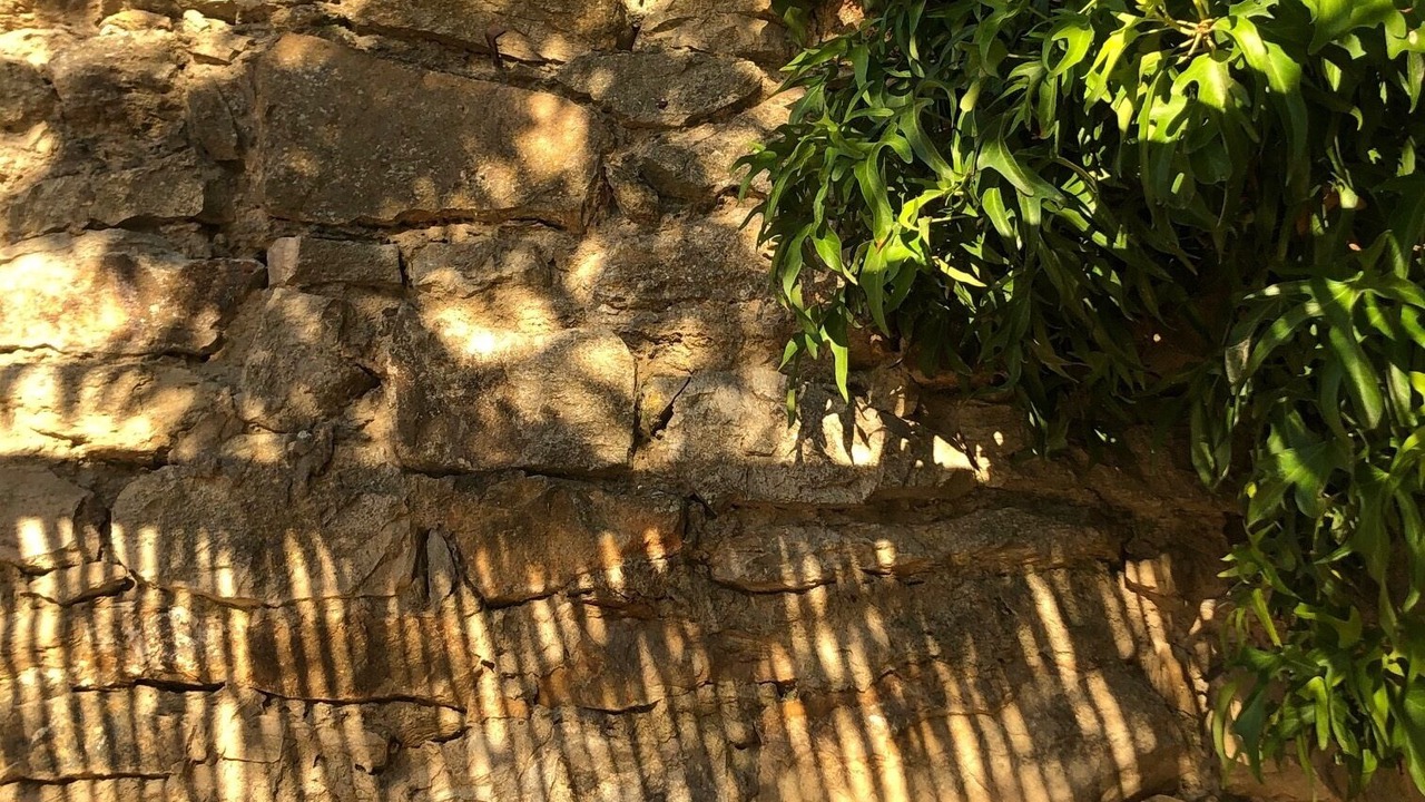 Photo of Outdoor in Palau-Sator