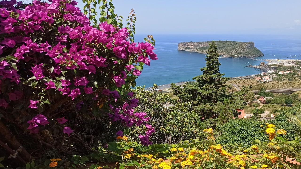 Photo of Outdoor in San Nicola Arcella