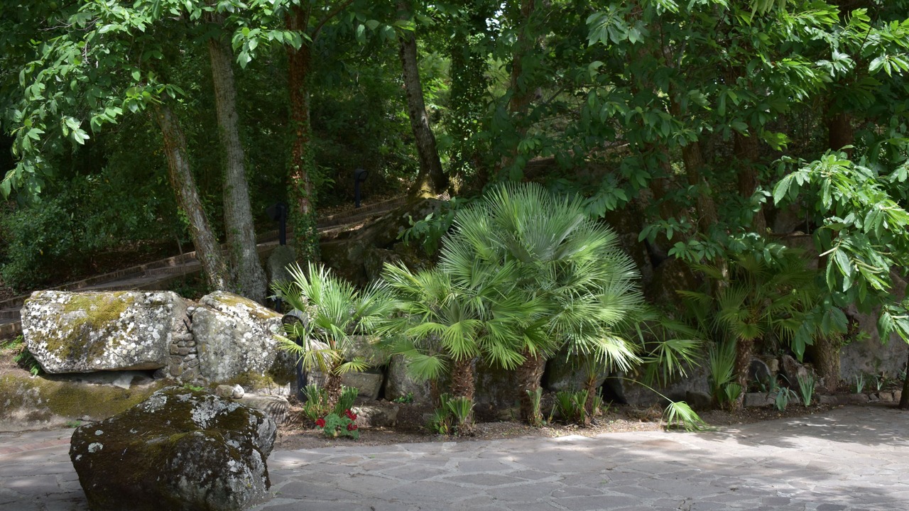 Photo of Outdoor in Roccastrada