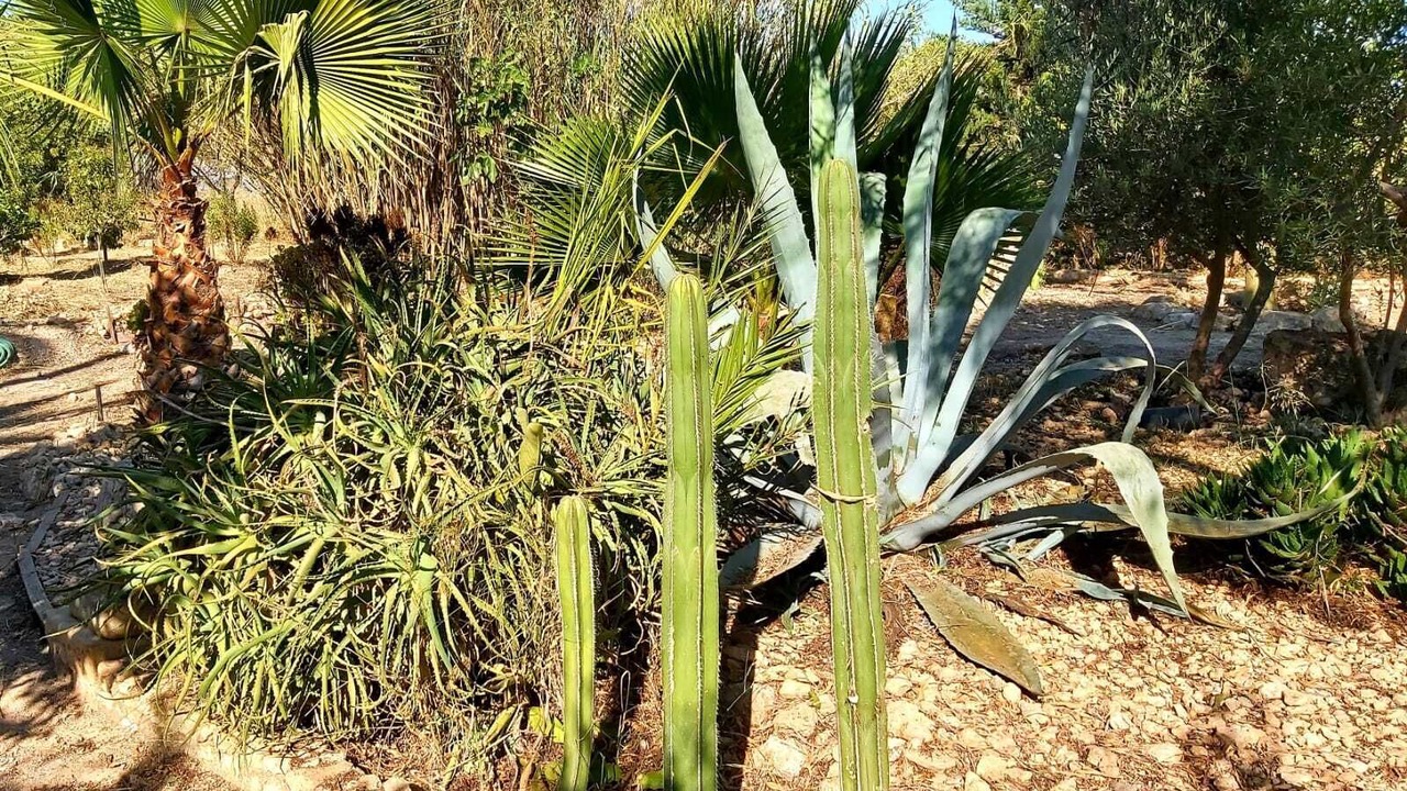 Photo of Outdoor in Aspe