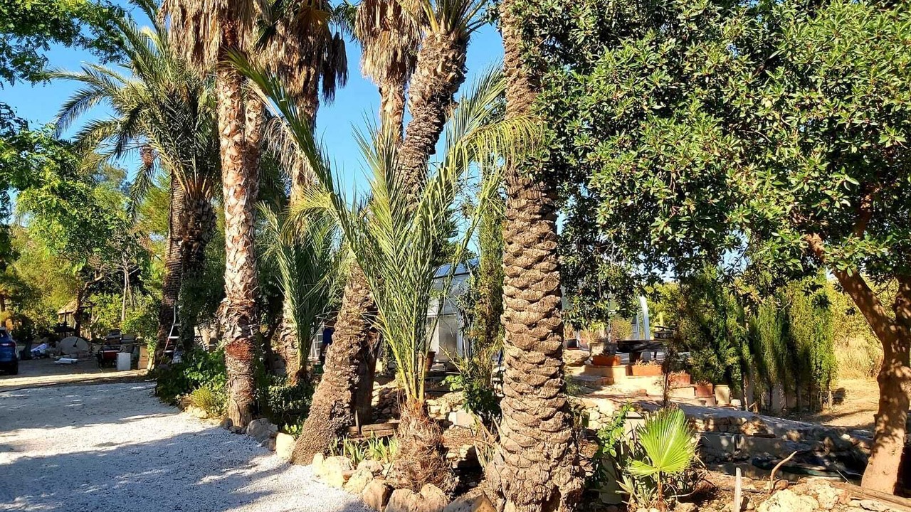 Photo of Outdoor in Aspe