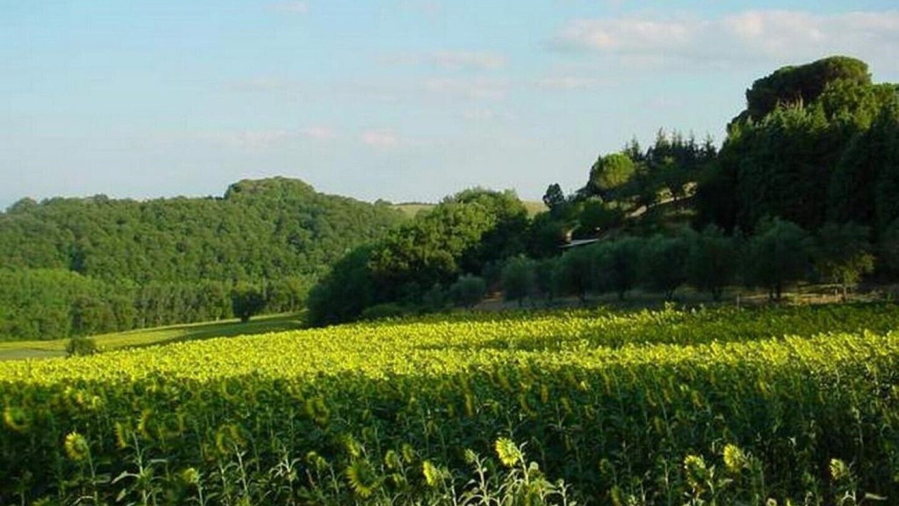 Photo of Outdoor in Ramazzano