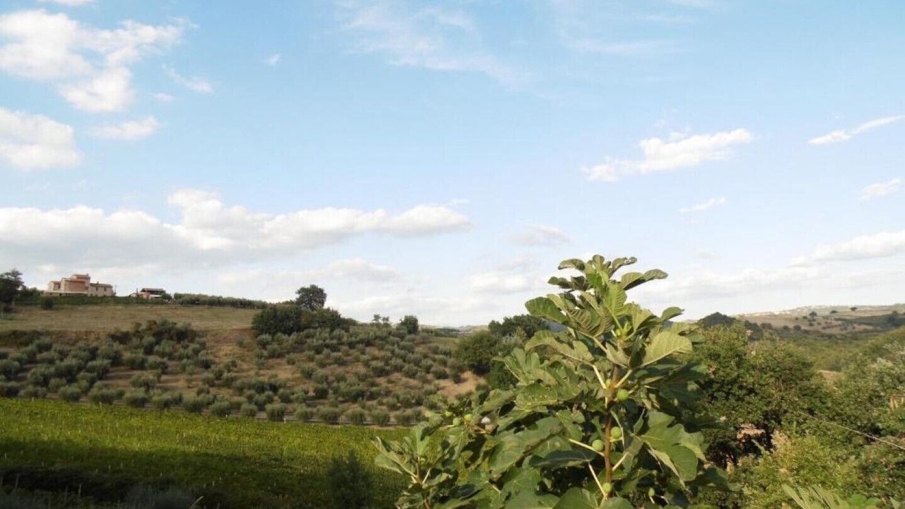 Photo of Outdoor in Ramazzano