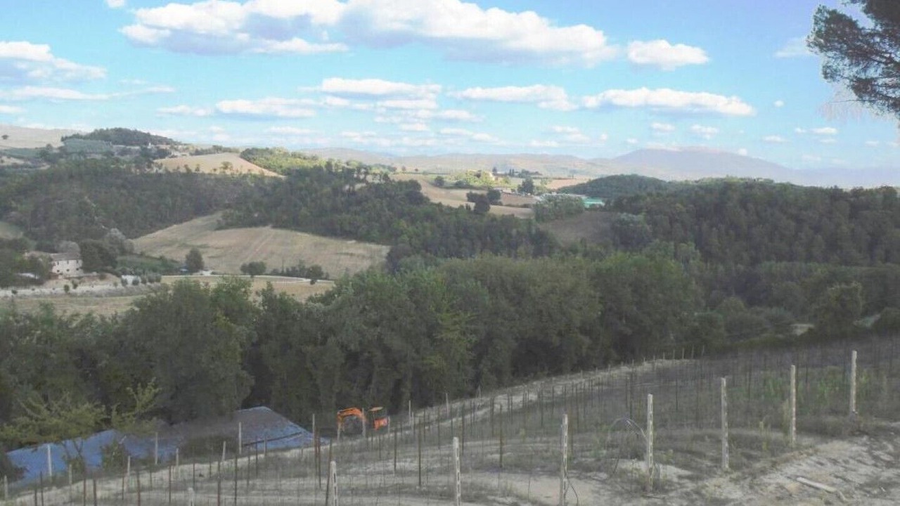 Photo of Others in Ramazzano
