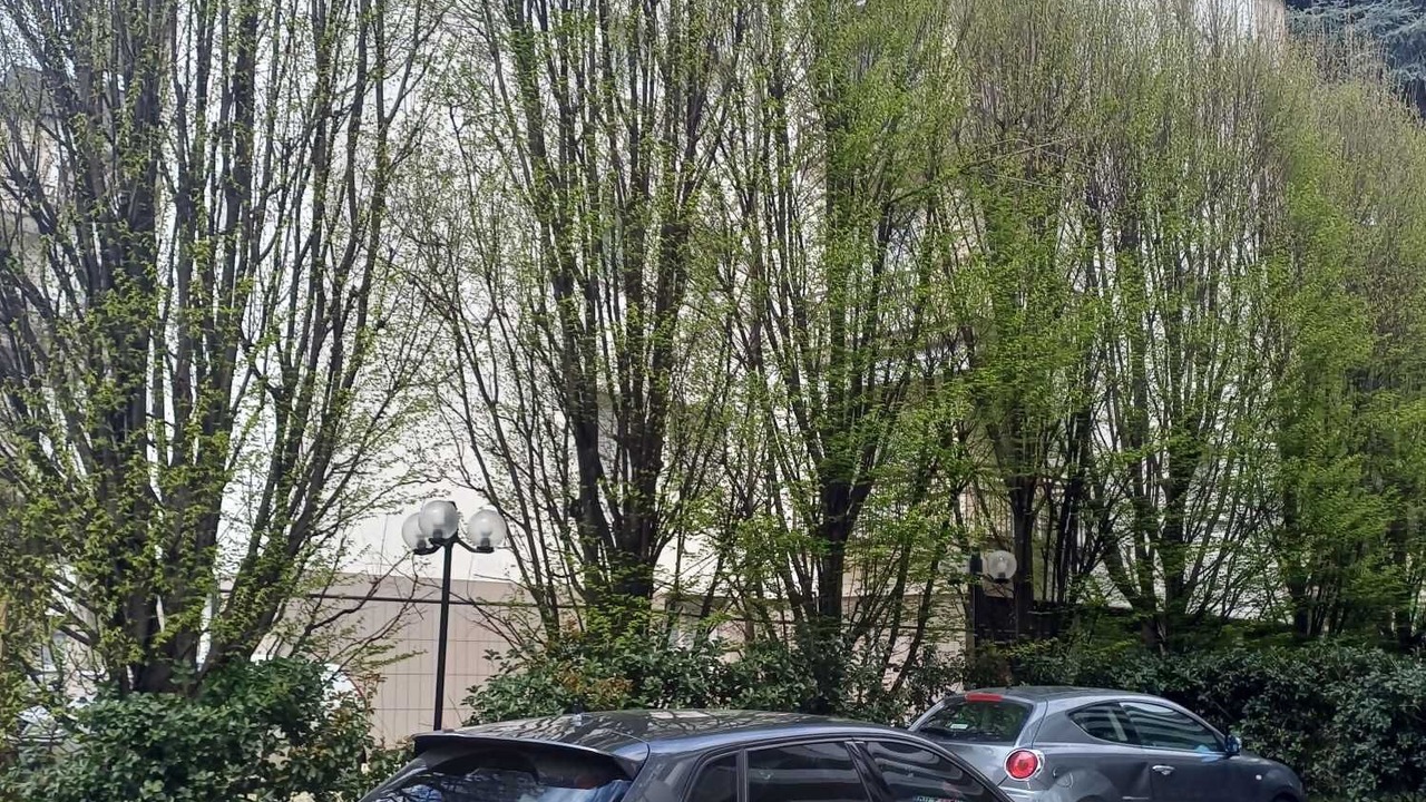 Photo of Outdoor in Bardolino