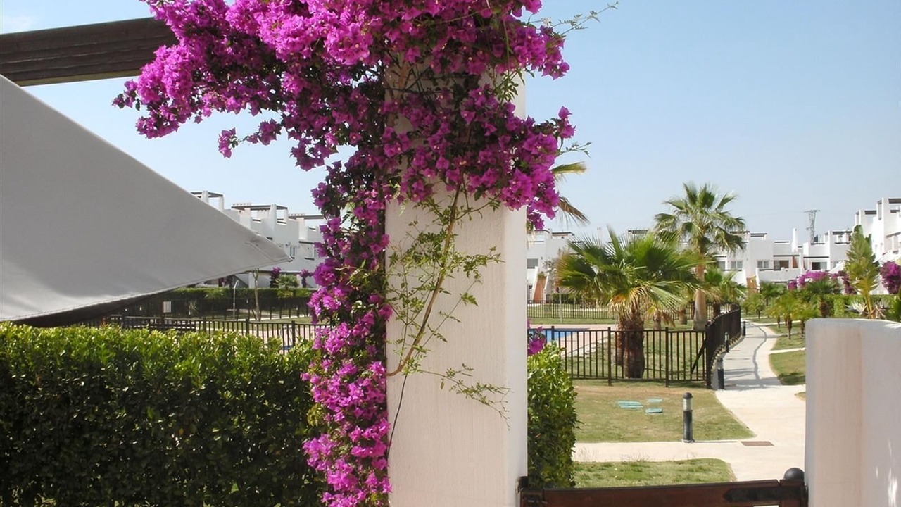 Photo of Outdoor in Alhama de Murcia