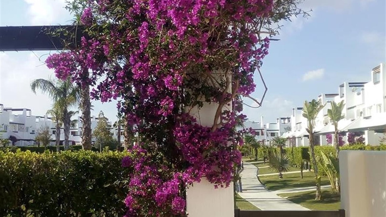 Photo of Outdoor in Alhama de Murcia
