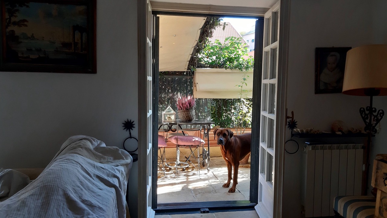 Photo of Bedroom in Sturla