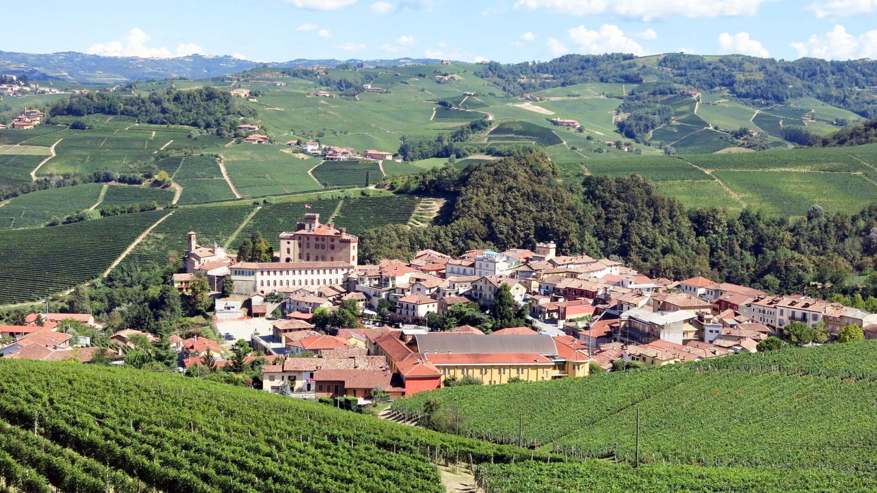 Photo of Others in Barolo