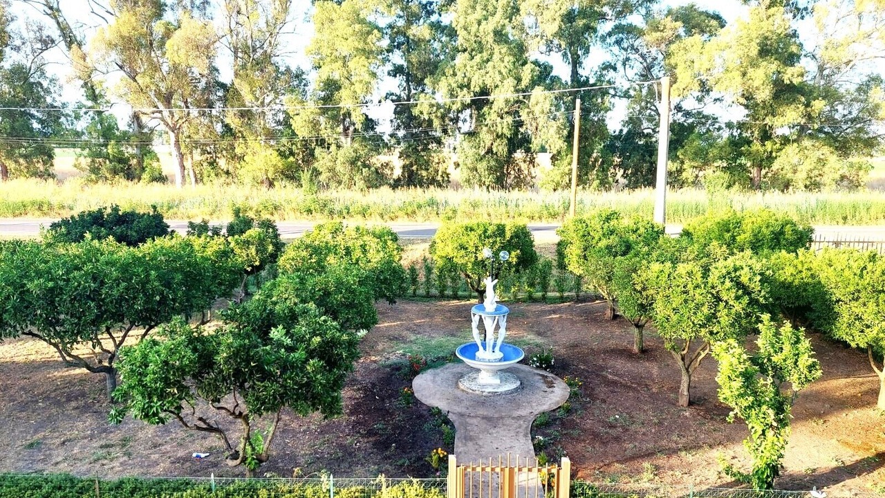 Photo of Outdoor in Pontinia