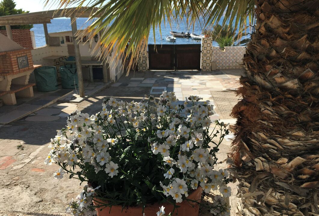 Photo of Outdoor in Aguilas