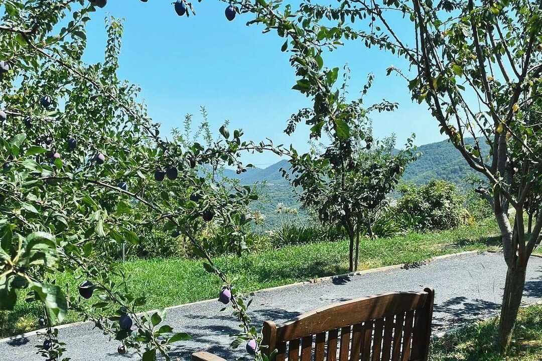 Photo of Outdoor in Casanova Lerrone