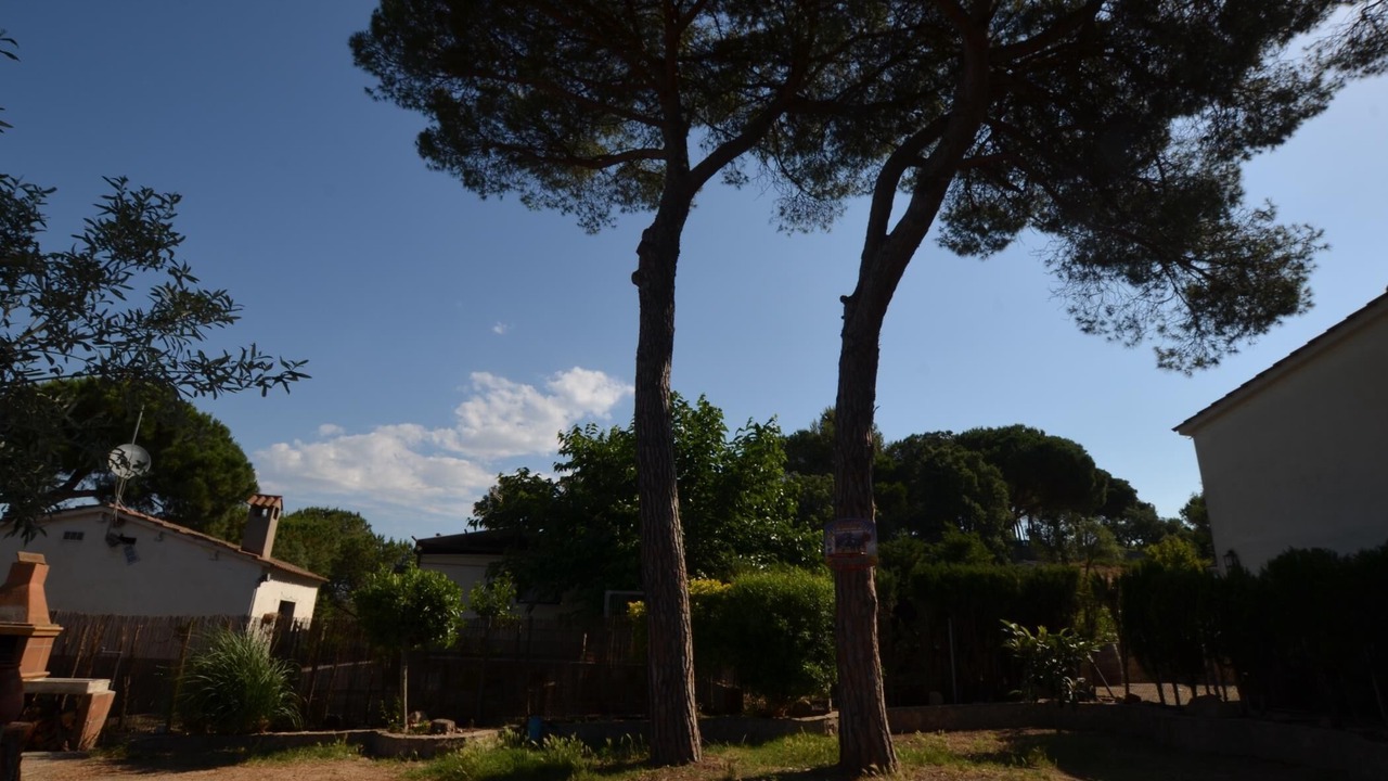 Photo of Outdoor in Macanet de la Selva