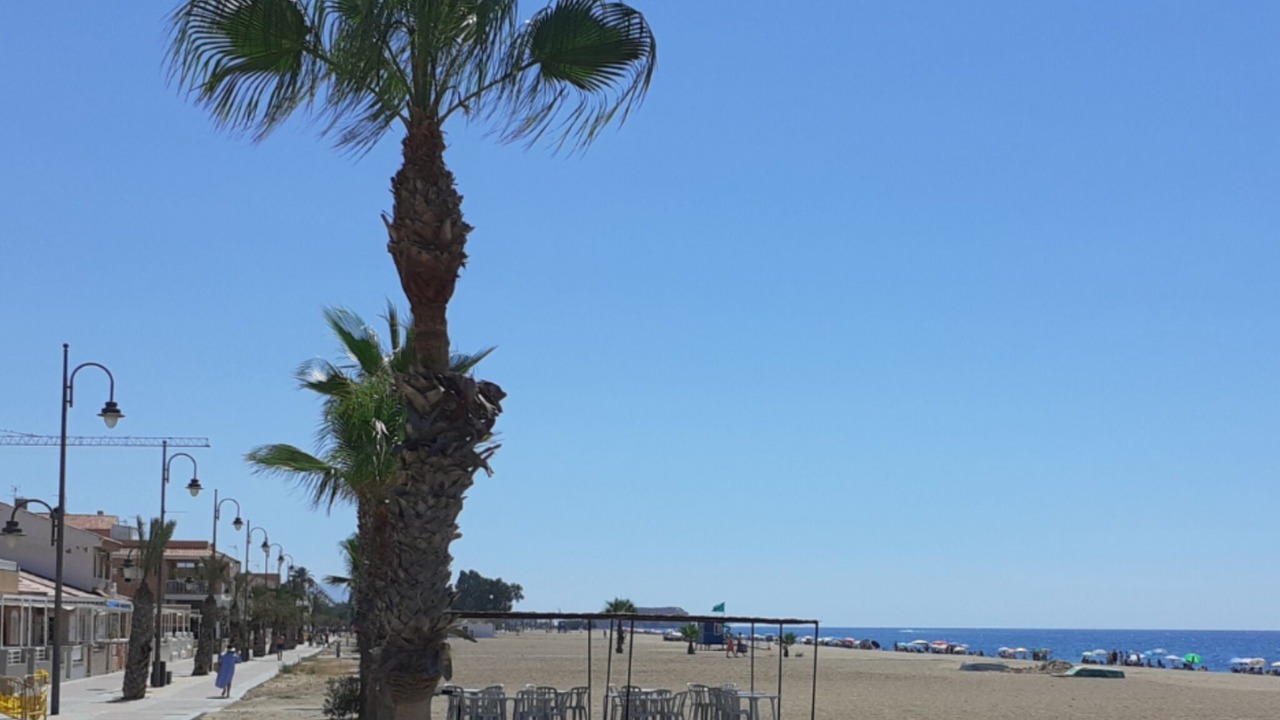 Photo of Others in Mazarron