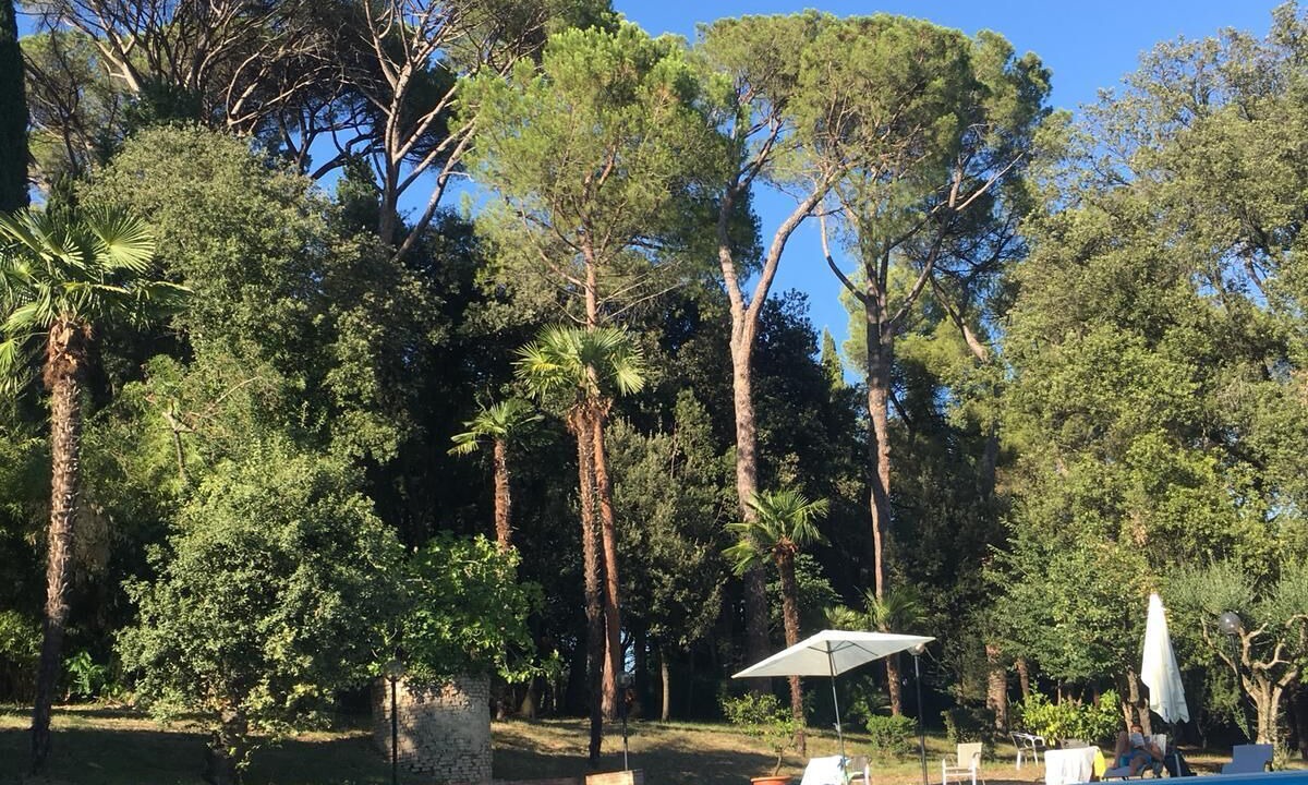 Photo of Outdoor in Treia