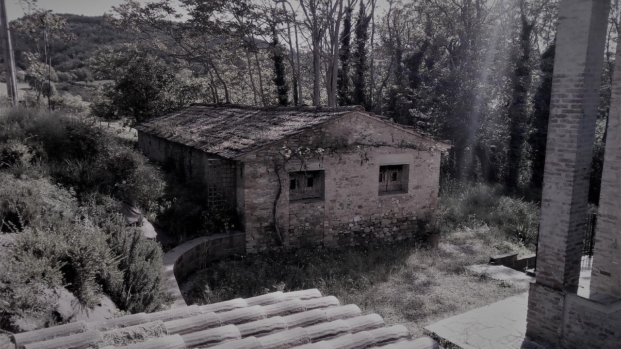 Photo of Others in Montelovesco