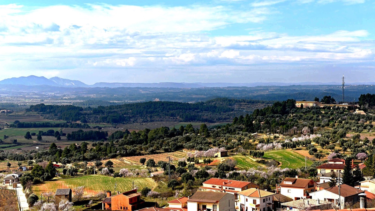 Photo of Outdoor in Horta de Sant Joan