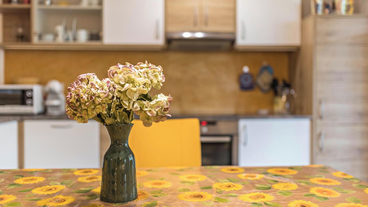 Photo of Kitchen in Mareo