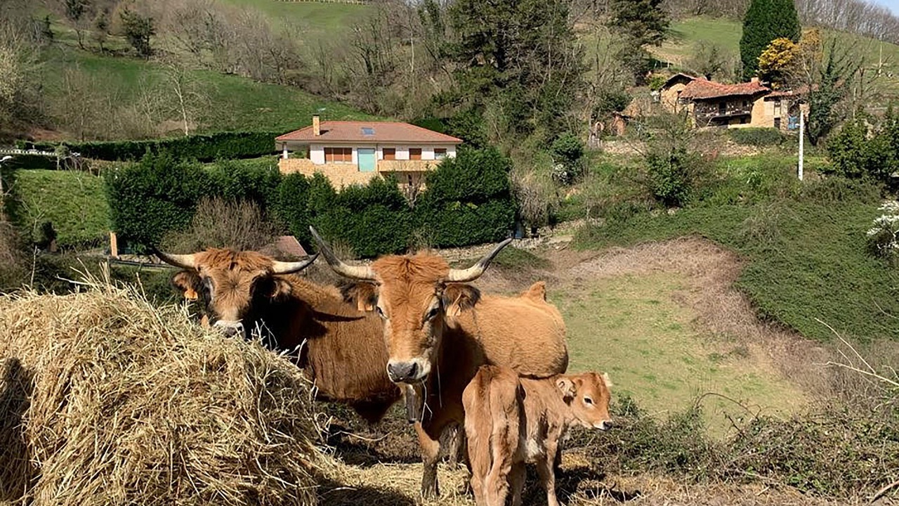 Photo of Outdoor in Mieres