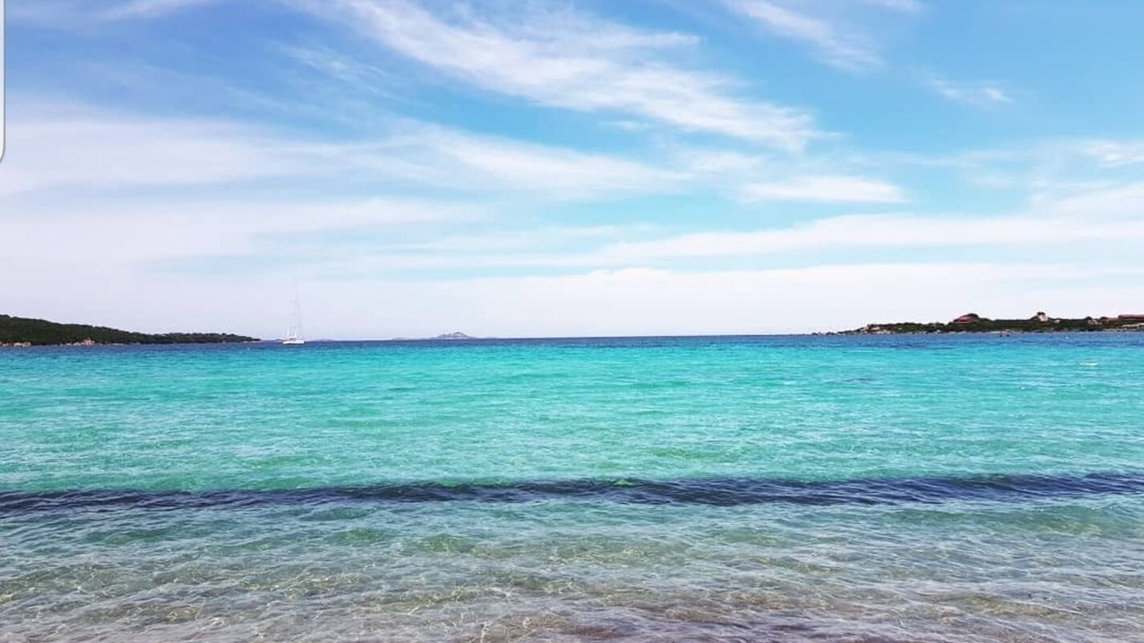 Photo of Others in Olbia