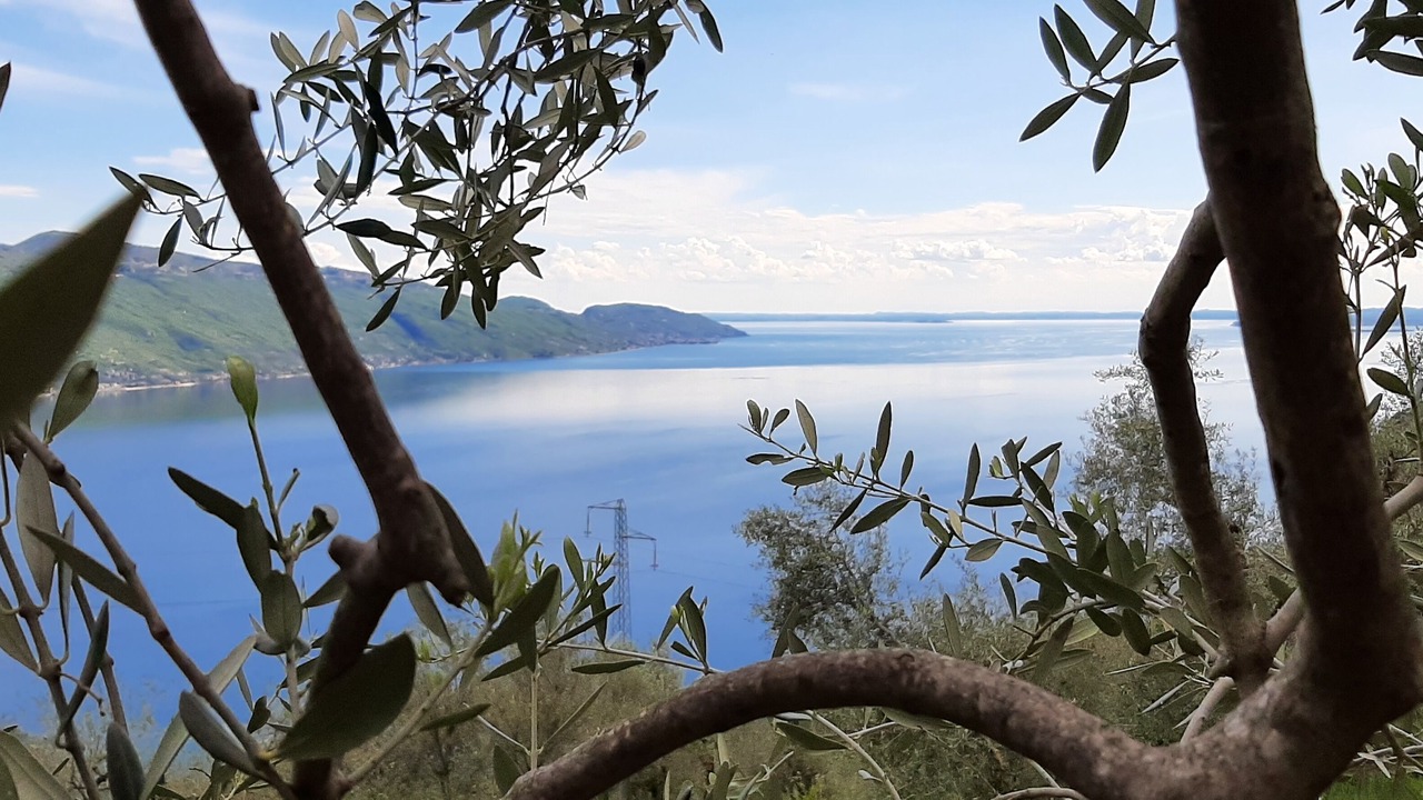 Photo of Outdoor in Oldesio