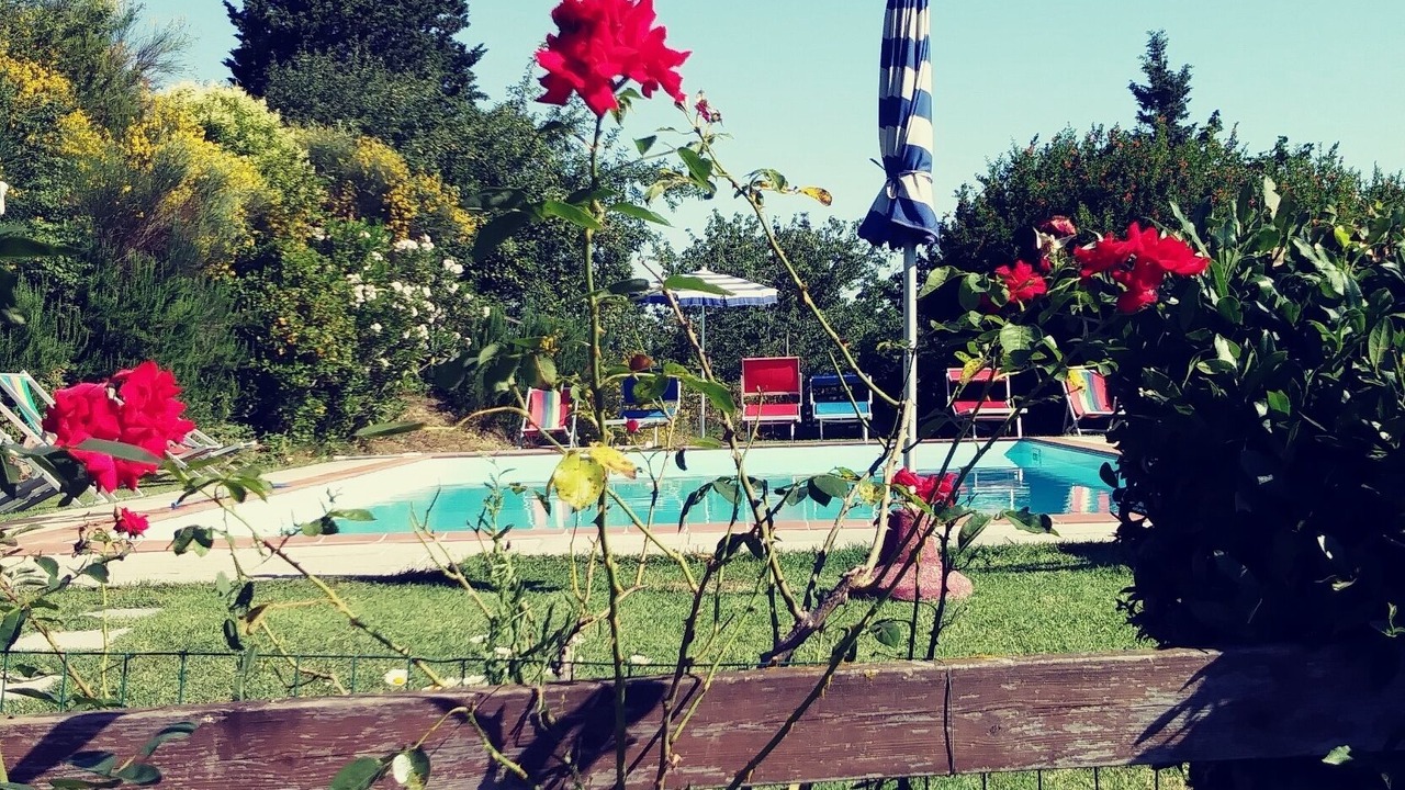 Photo of Outdoor in Toiano