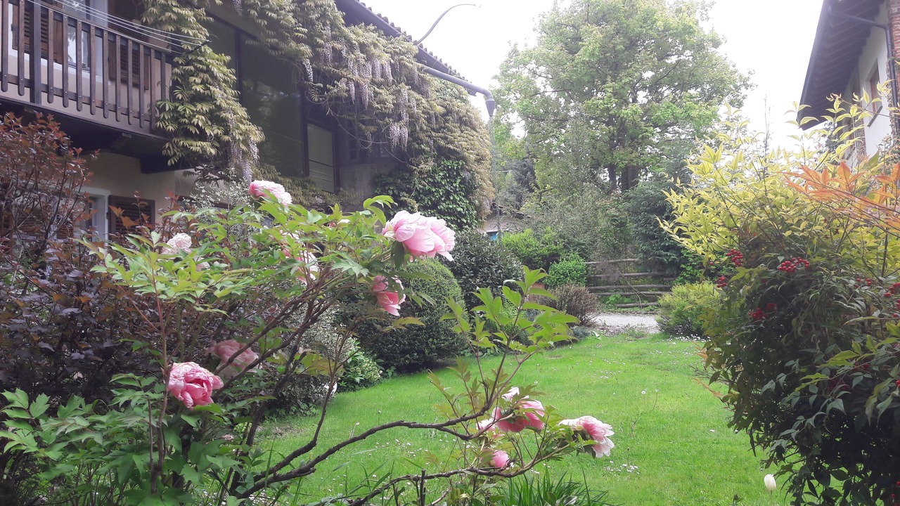 Photo of Outdoor in Chiusa di Pesio