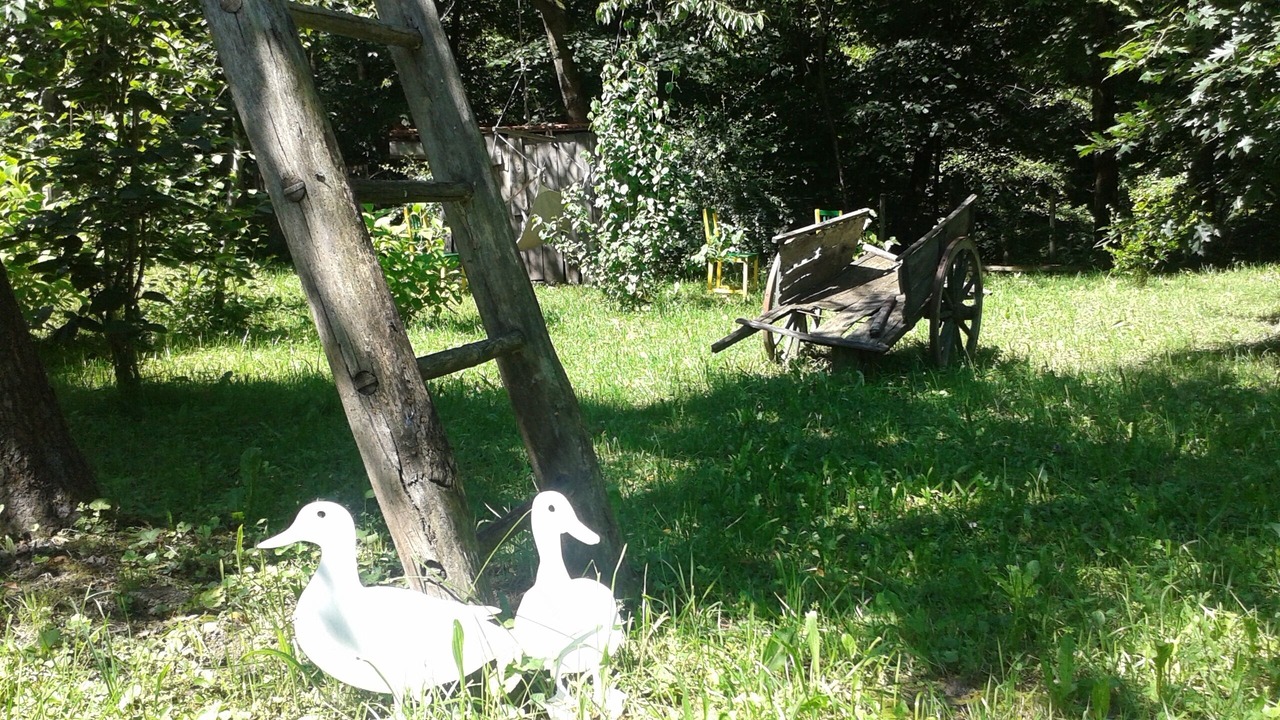 Photo of Outdoor in Chiusa di Pesio