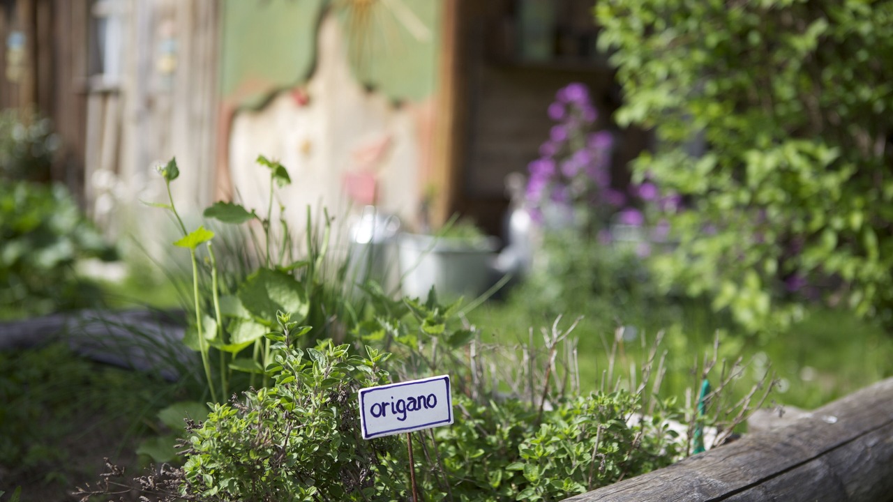 Photo of Outdoor in Chiusa di Pesio