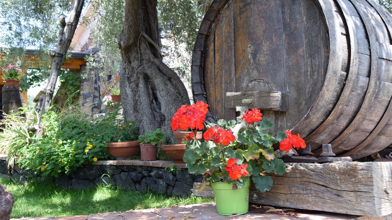 Photo of Outdoor in Santa Venerina
