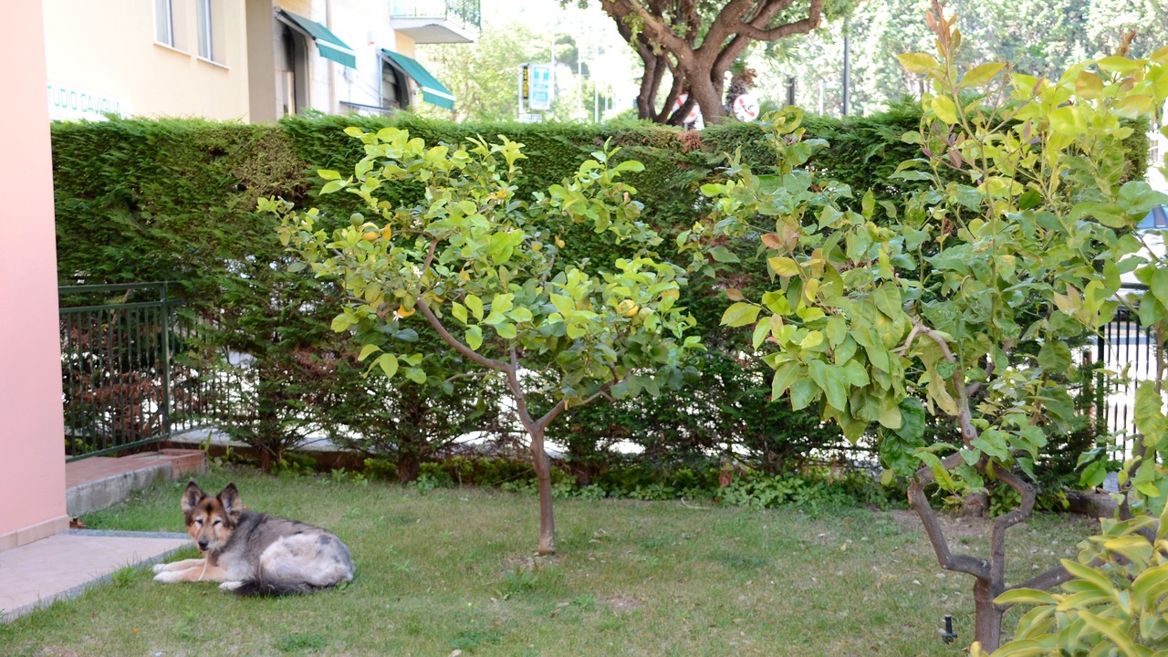 Photo of Outdoor in Borgio Verezzi