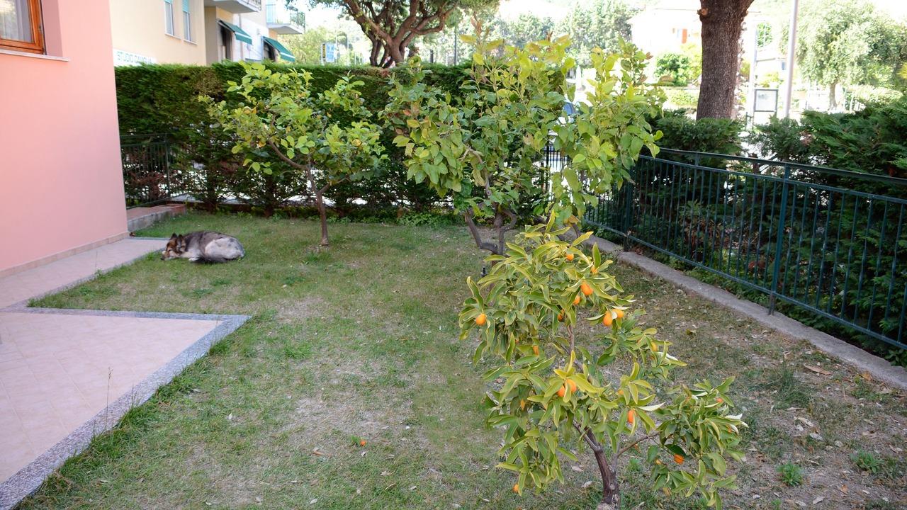Photo of Outdoor in Borgio Verezzi