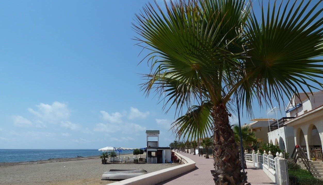 Photo of Others in El Pozo del Esparto