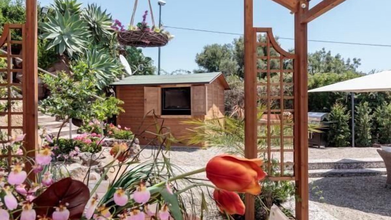 Photo of Outdoor in Vampolieri I