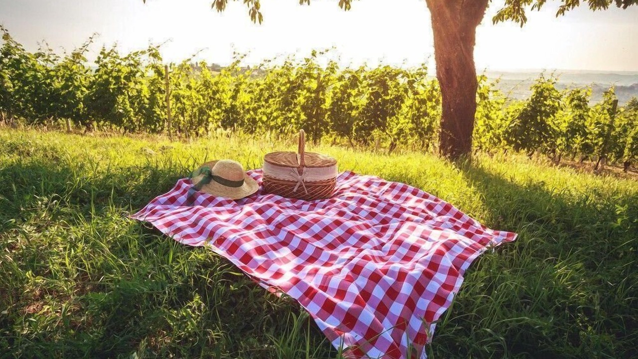 Photo of Outdoor in Monticello d'Alba