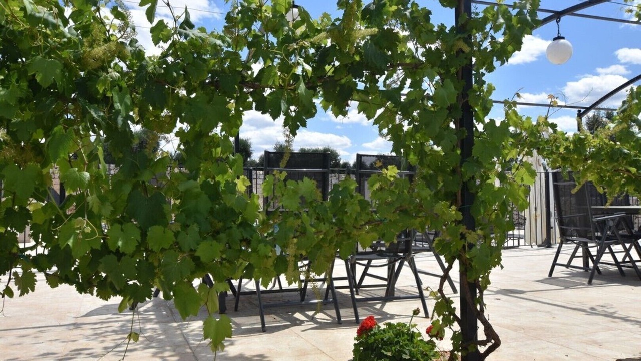 Photo of Outdoor in Francavilla Fontana