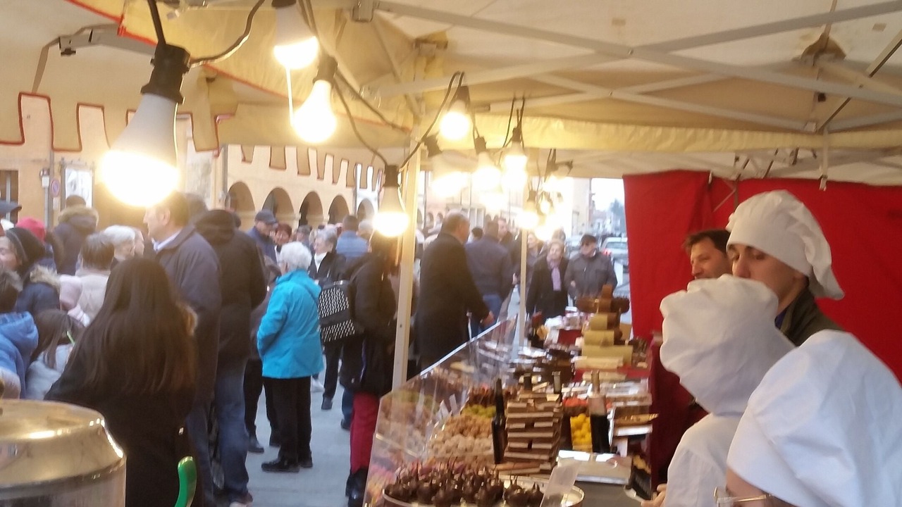 Photo of Outdoor in Castelfranco Emilia