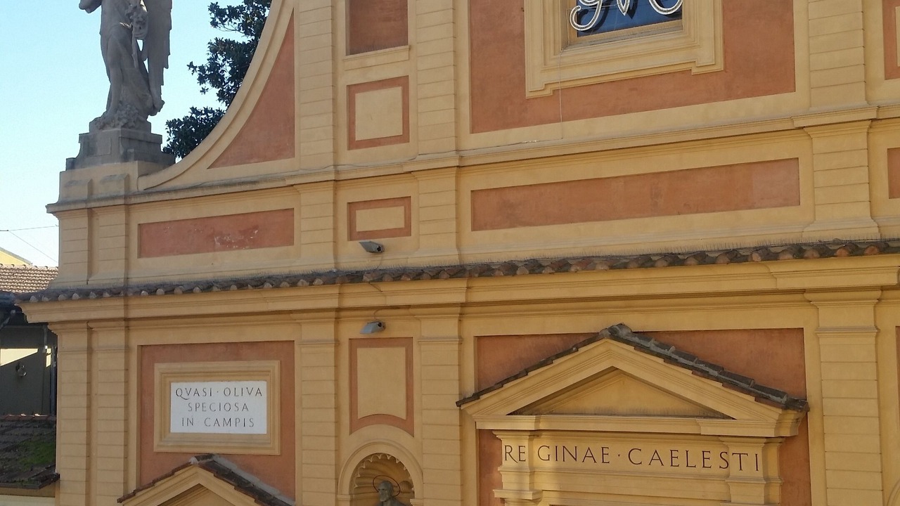 Photo of Others in Castelfranco Emilia