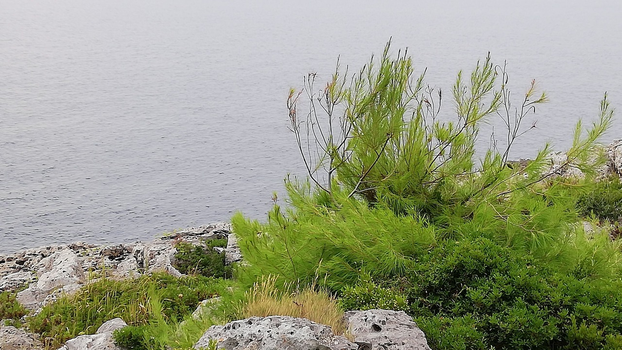 Photo of Others in Tiggiano