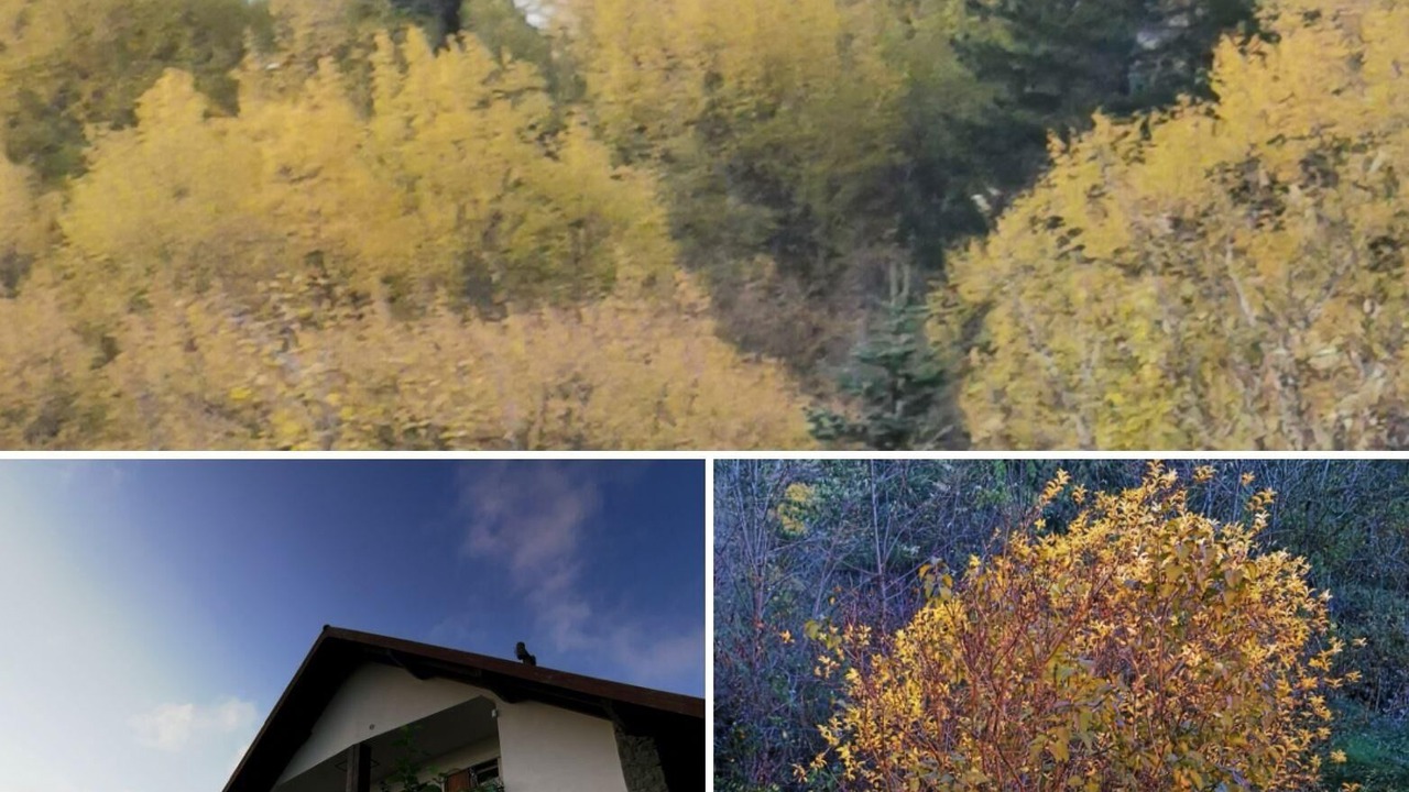 Photo of Outdoor in Borzonasca