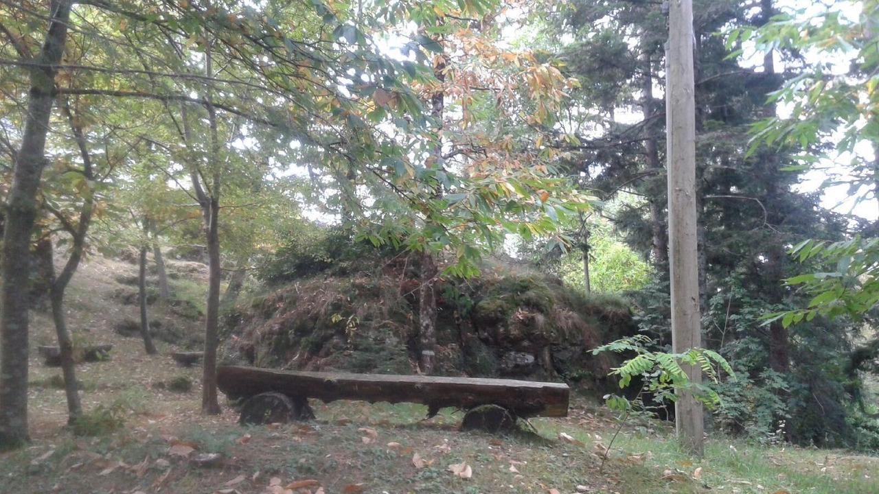 Photo of Outdoor in Borzonasca