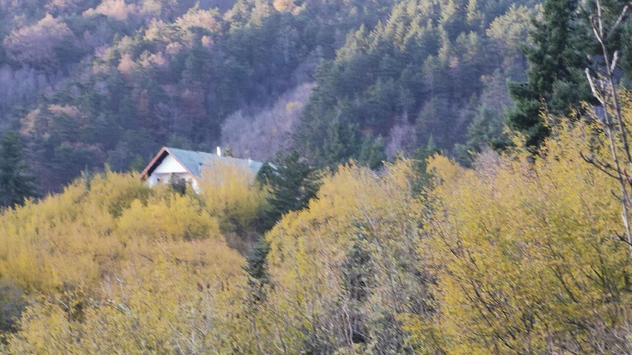 Photo of Others in Borzonasca