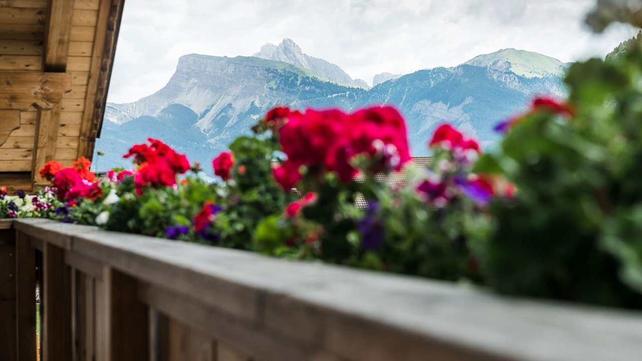 Photo of Outdoor in Bulla
