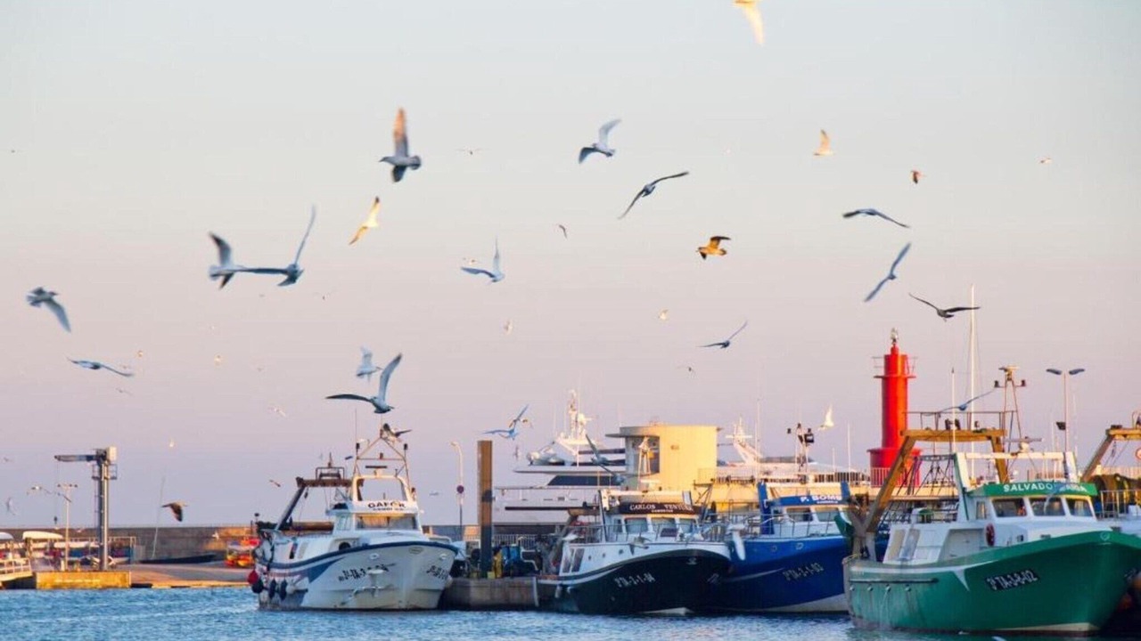 Photo of Others in Cambrils