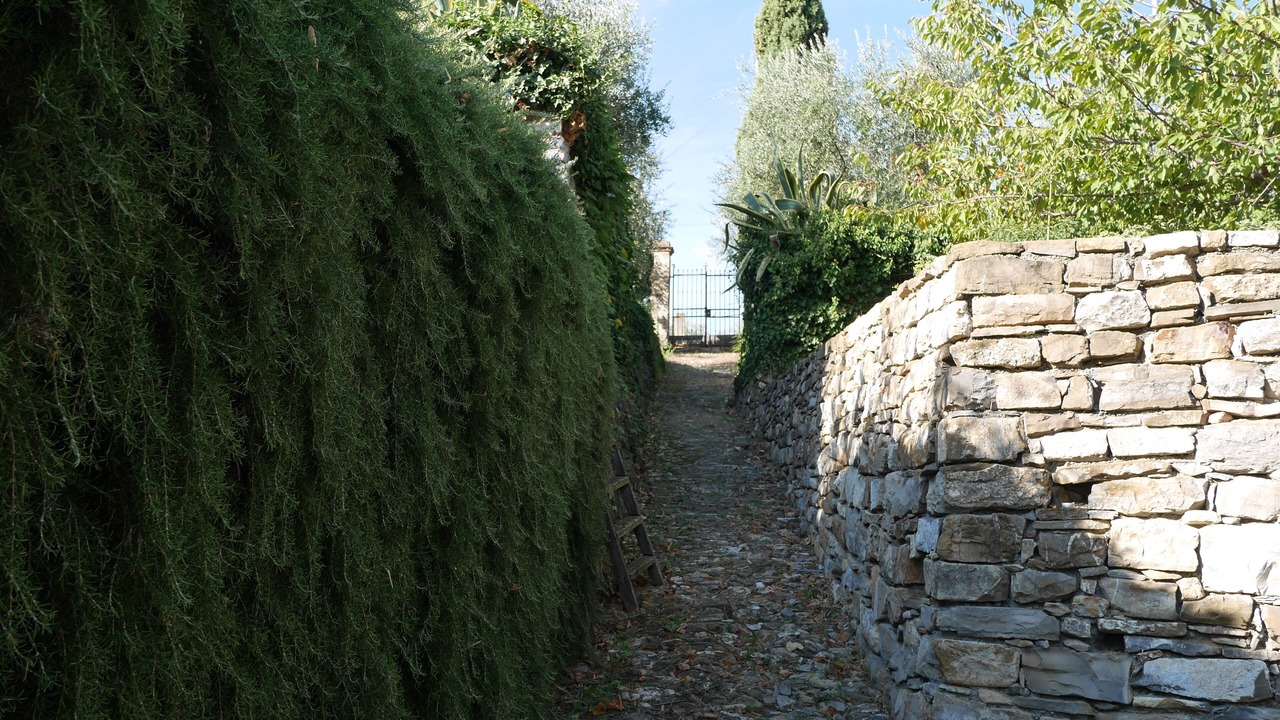 Photo of Outdoor in Diano Castello