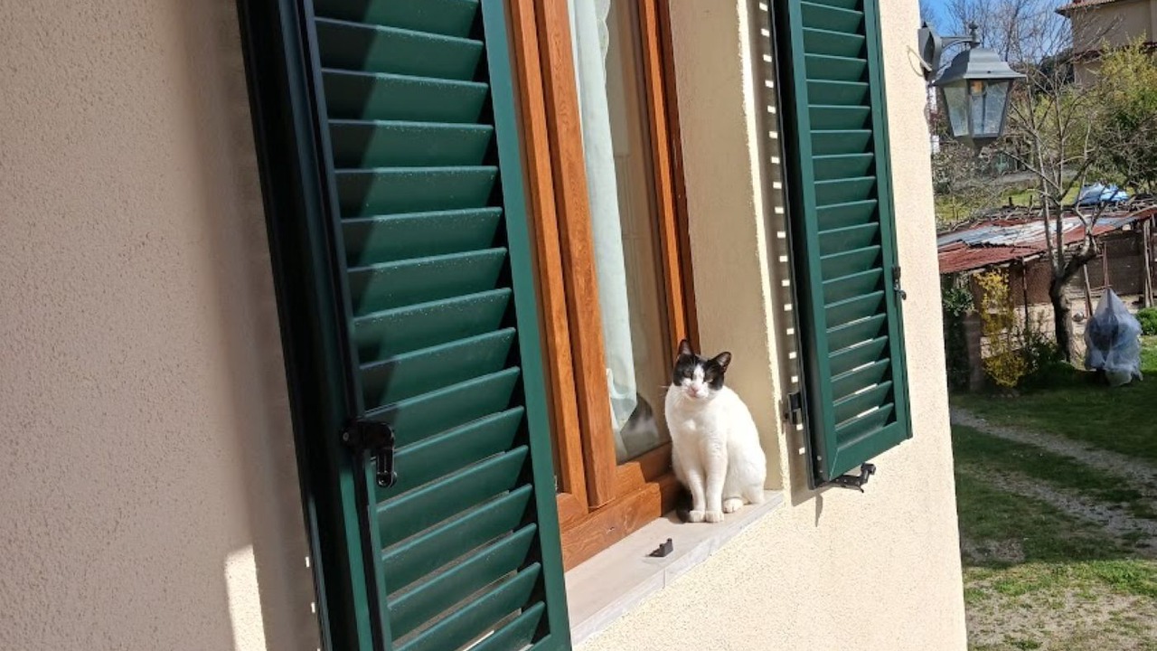 Photo of Outdoor in Monticiano