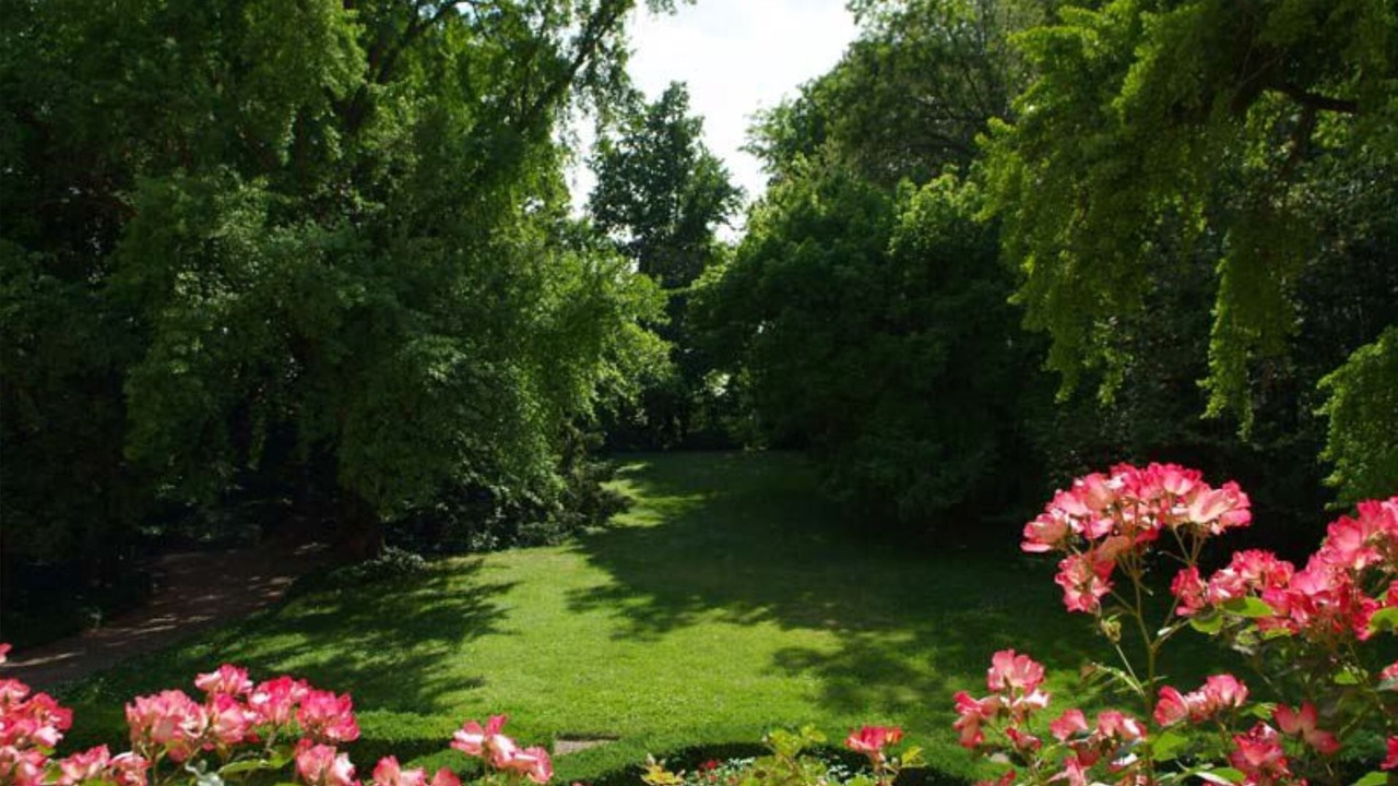 Photo of Outdoor in Sermide