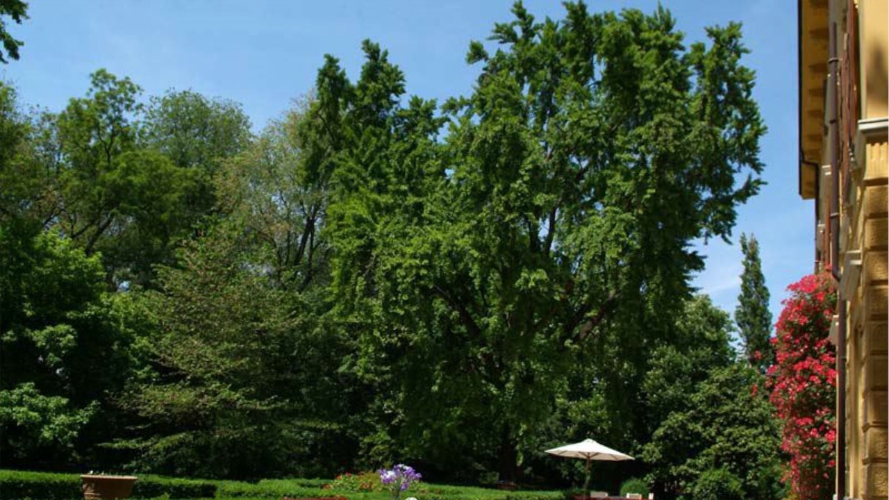 Photo of Outdoor in Sermide