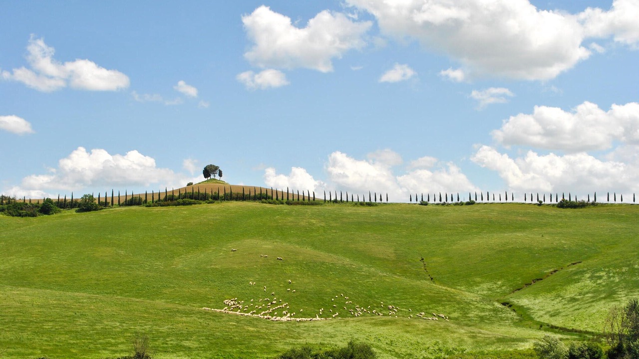 Photo of Others in Scalvaia