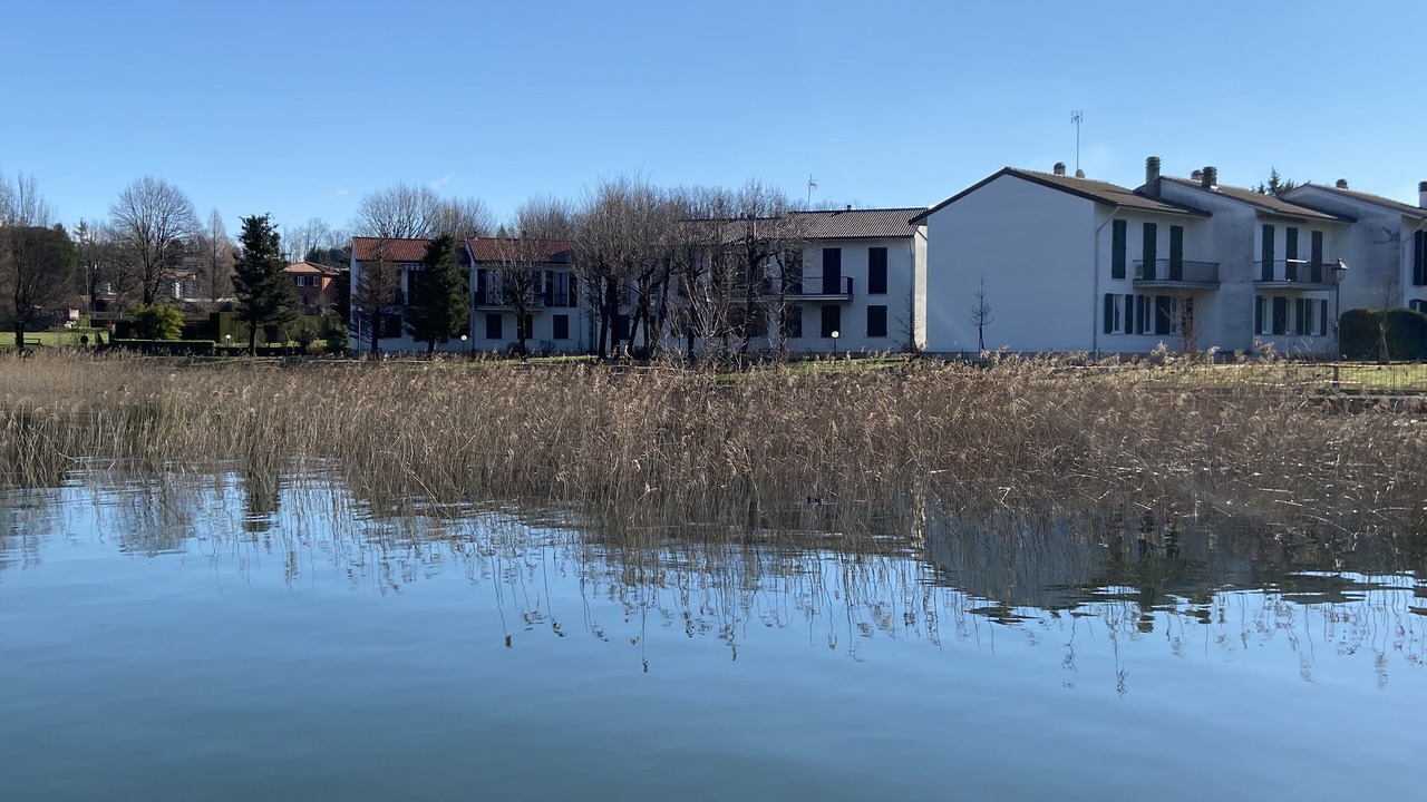 Photo of Outdoor in Bosisio Parini